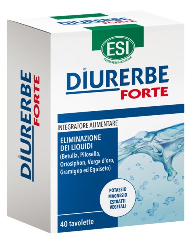 ESI DIURERBE 40TAV