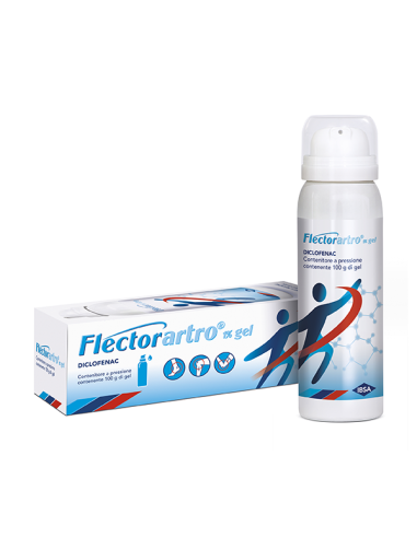 FLECTORART GEL 100G