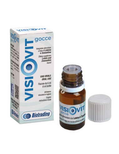 VISIOVIT GOCCE 6 ML OF THE ACTIVE SUBSTANCE