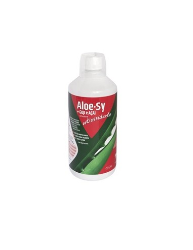 ALOE-SY GOJI ACAI 1LT