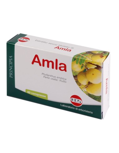 SECCO 60CPR EXTRACT AMLA