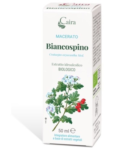 BIANCOSPINO MACERATO CAIRA GTT