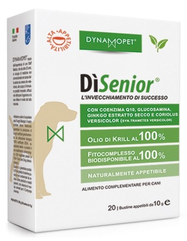 DISENIOR 20BUSTY 10G