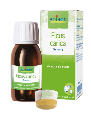 FICUS CARICA BOI MG 60ML INT OTHER