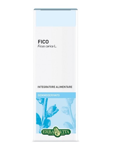 FICO 50ML