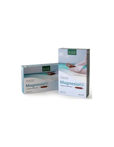 MAGNESIUM B6 20 AMPOULES