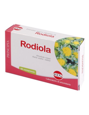 SECCO 60CPR EXTRACT RODIOLA