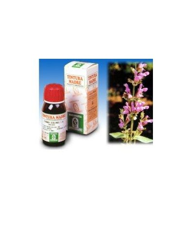 SALVIA 25 50ML TM