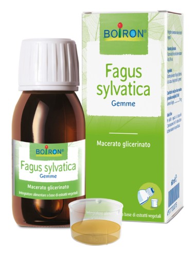 FAGUS SYLVATIC BOI MG60ML INT