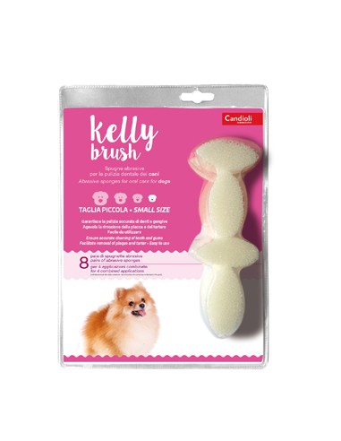 KELLY BRUSH PIC 16PZ