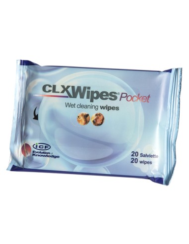 CLX WIPES POCKET