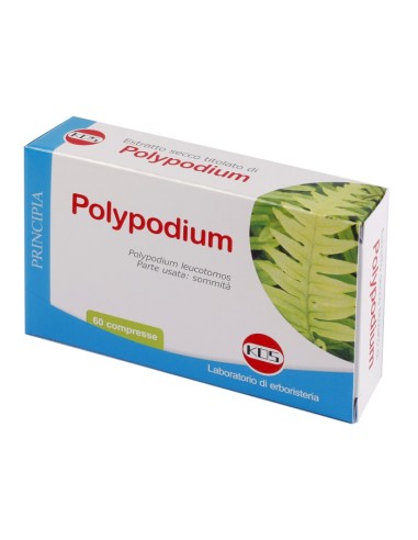 POLYPODIUM ESTRATTO SECCO60CPR