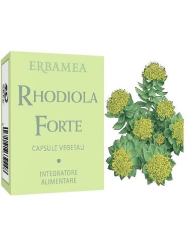 RHODIOLA FOR 24CPS