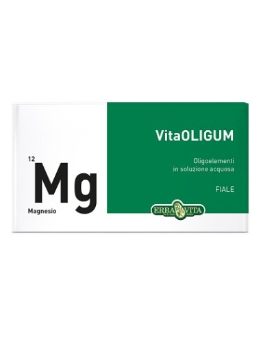 VITAOLIGUM MAGNESIO 20F