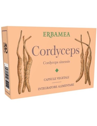 CORDYCEPS 24CPS VEGETATIONS