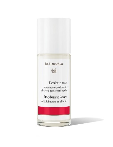 DR HAUSCHKA THE FOLLOWING SHALL APPLY: