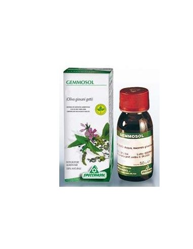 GEMMOSOL 15 CARPINO 50ML MG