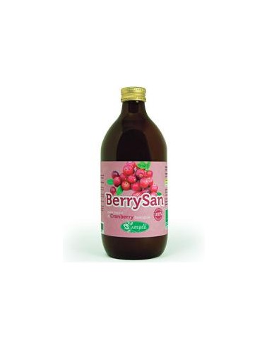 BERRYSAN PURO SUCCO CRANBERRY