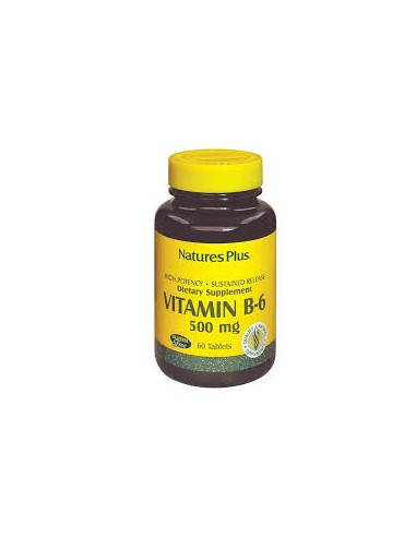 VITAMIN B6 PIRIDOSS 500