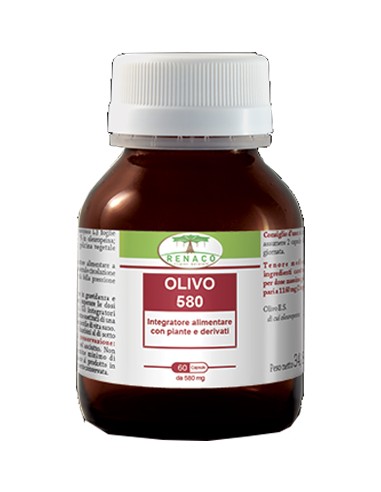 OLIVO 580 60CPS