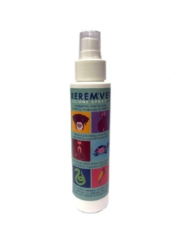 XEREM SPRAY 100ML