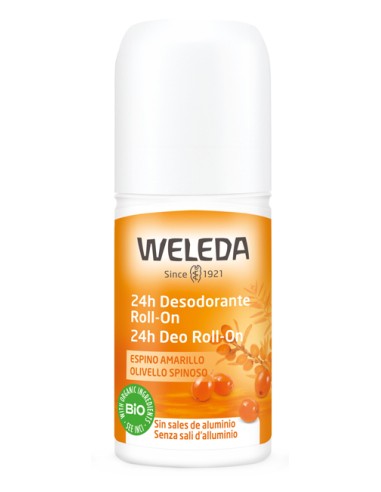 24H DEO ROLL-ON 50ML