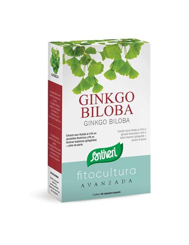 GINKGO BILOBA 40CPS