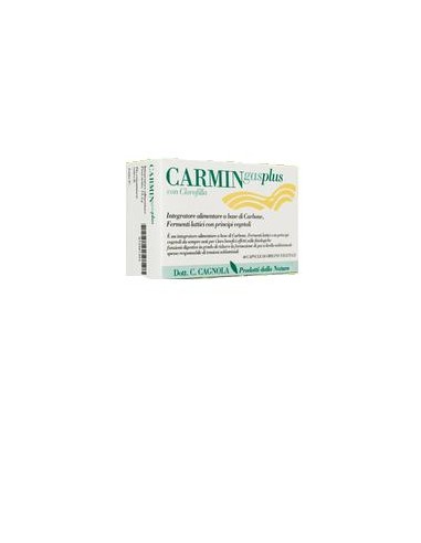 CARMIN GAS PLUS 45CPS