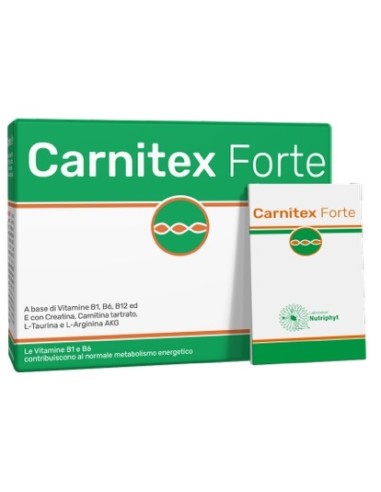 CARNITEX FOR 14BUST