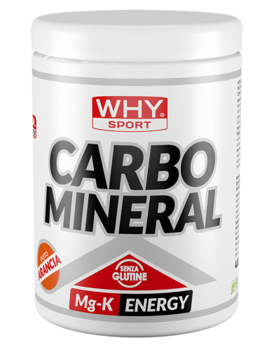 WHYSPORT CARBO MINERAL 400G