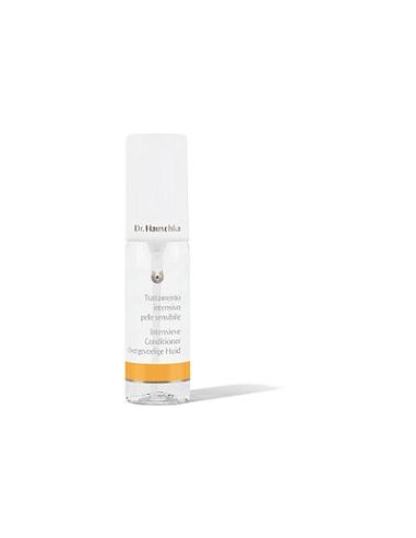 DR HAUSCHKA TRATTERS