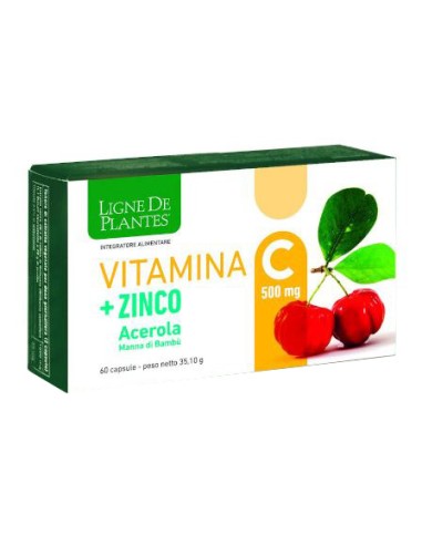 VITAMIN C 500MG+ZI/AC/BA60CPS