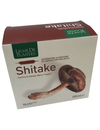 LIGNE SHITAKE BIO 15ML