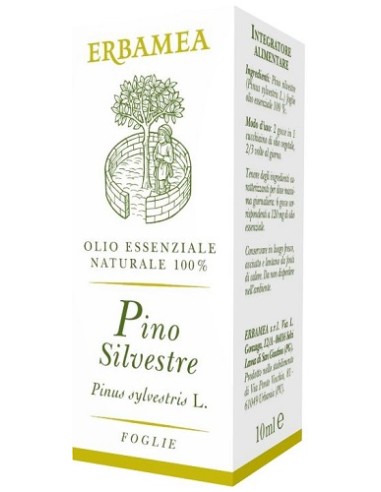 PINO SILVEST 10ML