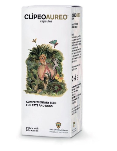 CLIPEO AUREO 60CPS