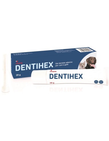 DENTIHEX GEL DENTAL ADES C/G