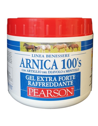 ARNICA 100'S GEL EX FT RAFF500