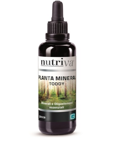 NUTRIVA MINERAL TODDY PLAN