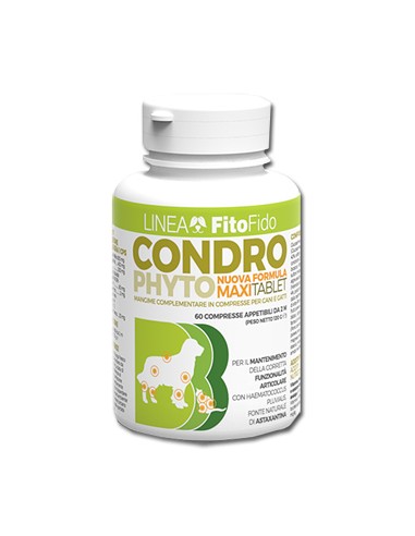 CONDROPHYTO 60CPR 2G