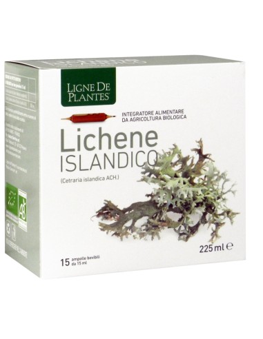 LICHENE ISLANDICO 15AMPX15ML