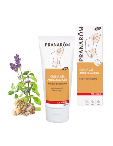 PRANAROM ALGIC CREMA ART 100ML