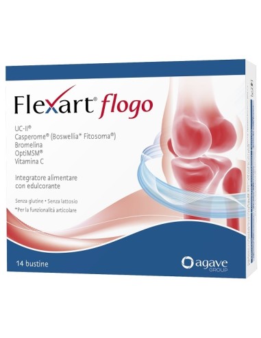 FLEXART FLOGUE 14BUST